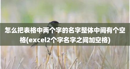 怎么把表格中两个字的名字整体中间有个空格(excel2个字名字之间加空格)