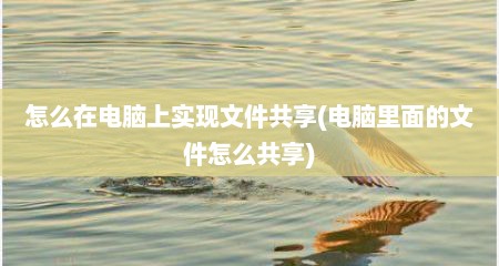 怎么在电脑上实现文件共享(电脑里面的文件怎么共享)
