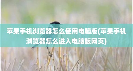苹果手机浏览器怎么使用电脑版(苹果手机浏览器怎么进入电脑版网页)
