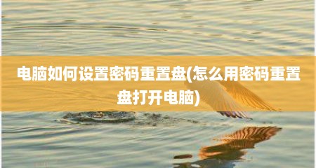 电脑如何设置密码重置盘(怎么用密码重置盘打开电脑)