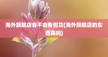 海外旗舰店会不会有假货(海外旗舰店的东西真吗)