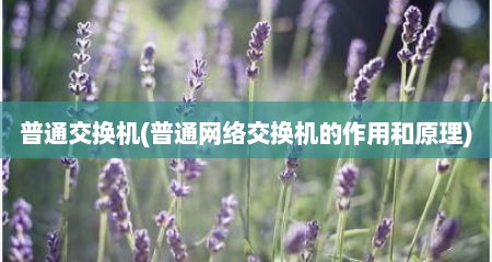 普通交换机(普通网络交换机的作用和原理)