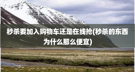 秒杀要加入购物车还是在线抢(秒杀的东西为什么那么便宜)