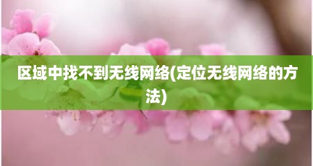 区域中找不到无线网络(定位无线网络的方法)