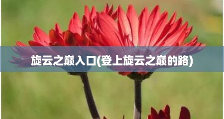 旋云芝巅入口(登上旋云芝巅的路)