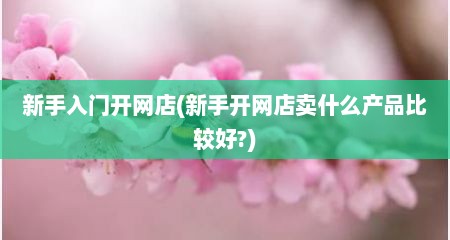 新手入门开网店(新手开网店卖什么产品比较好?)