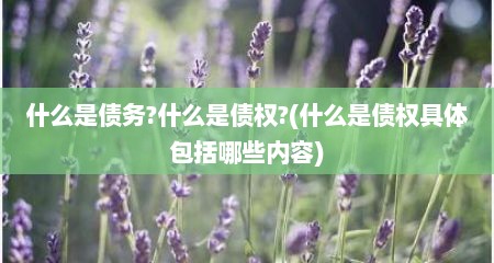 什么是债务?什么是债权?(什么是债权具体包括哪些内容)