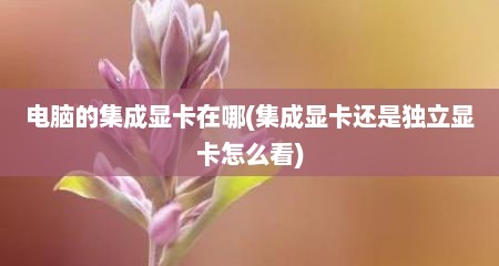 电脑的集成显卡在哪(集成显卡还是独立显卡怎么看)