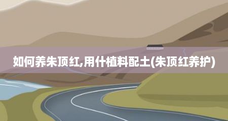 如何养朱顶红,用什植料配土(朱顶红养护)