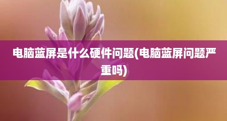 电脑蓝屏是什么硬件问题(电脑蓝屏问题严重吗)