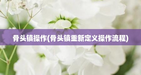 骨头镇操作(骨头镇重新定义操作流程)