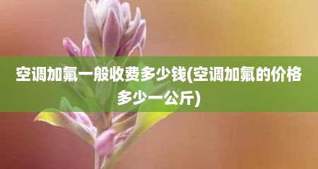空调加氟一般收费多少钱(空调加氟的价格多少一公斤)
