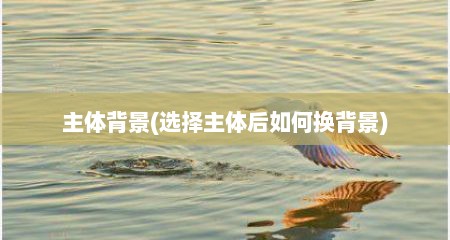 主体背景(选择主体后如何换背景)