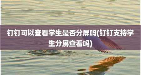 钉钉可以查看学生是否分屏吗(钉钉支持学生分屏查看吗)