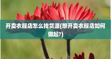 开卖衣服店怎么找货源(想开卖衣服店如何做起?)