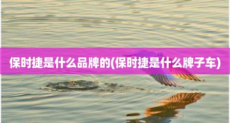 保时捷是什么品牌的(保时捷是什么牌子车)
