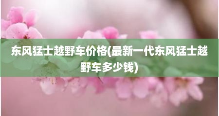 东风猛士越野车价格(最新一代东风猛士越野车多少钱)