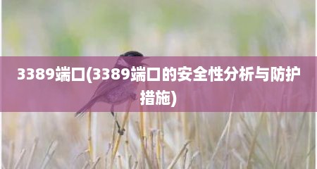 3389端口(3389端口的安全性分析与防护措施)