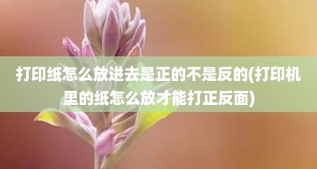 打印纸怎么放进去是正的不是反的(打印机里的纸怎么放才能打正反面)