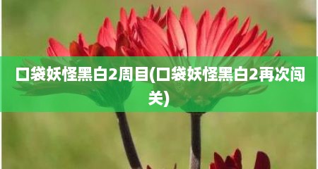 口袋妖怪黑白2周目(口袋妖怪黑白2再次闯关)