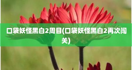 口袋妖怪黑白2周丰(口袋妖怪黑白2再次闯关)