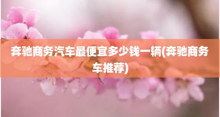 奔驰商务汽车最便宜多少钱一辆(奔驰商务车推荐)