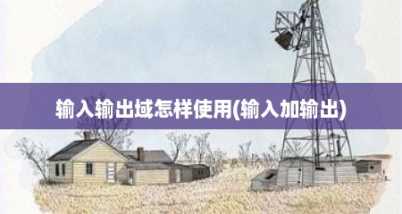 输入输出域怎样使用(输入加输出)