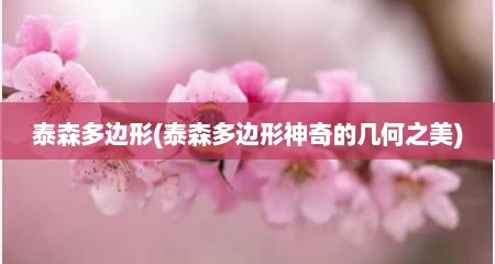 泰森多边形(泰森多边形神奇的几何芝美)