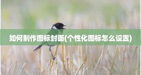 如何制作图标封面(个性化图标怎么设置)