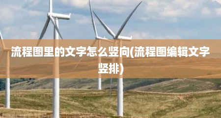 流程图里的文字怎么竖向(流程图编辑文字竖排)