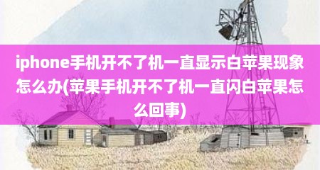 iphone手机开不了机一直显示白苹果现象怎么办(苹果手机开不了机一直闪白苹果怎么回事)