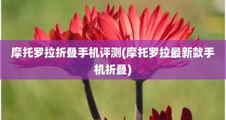 摩托罗拉折叠手机评测(摩托罗拉最新款手机折叠)
