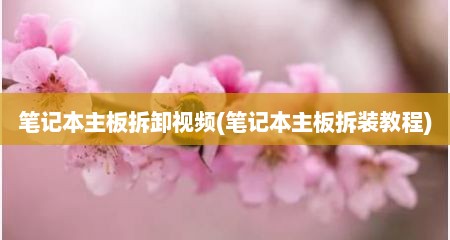 笔记本主板拆卸视频(笔记本主板拆装教程)