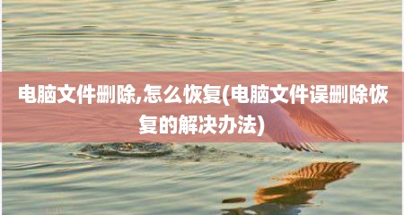 电脑文件删除,怎么恢复(电脑文件误删除恢复的解决办法)