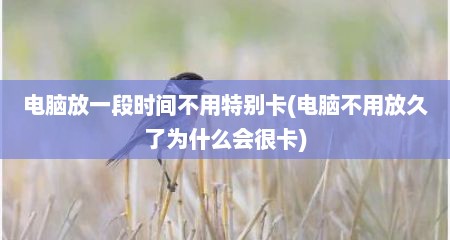 电脑放一段时间不用特别卡(电脑不用放久了为什么会很卡)