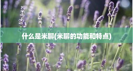 什么是米聊(米聊的功能和特点)