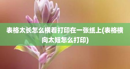 表格太长怎么横着打印在一张纸上(表格横向太短怎么打印)