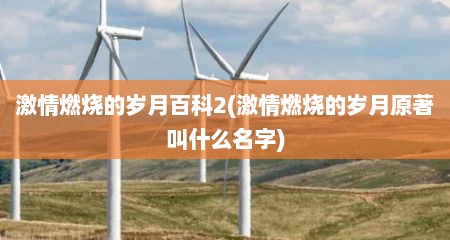 激情燃烧的岁月百科2(激情燃烧的岁月原著叫什么名字)