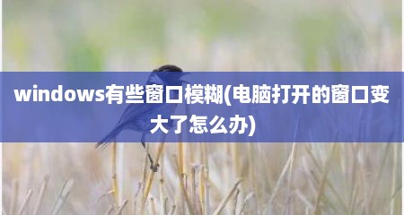 windows有些窗口模糊(电脑打开的窗口变大了怎么办)