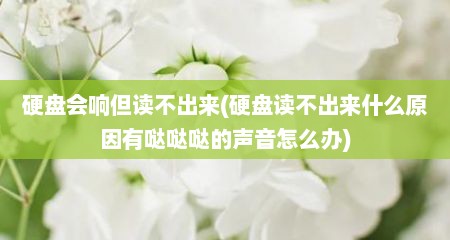 硬盘会响但读不出来(硬盘读不出来什么原因有哒哒哒的声音怎么办)