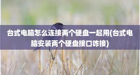 台式电脑怎么连接两个硬盘一起用(台式电脑安装两个硬盘接口咋接)