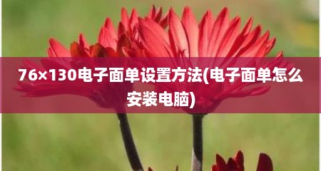 76×130电子面单设置方法(电子面单怎么安装电脑)