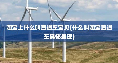 淘宝上什么叫直通车宝贝(什么叫淘宝直通车具体呈现)