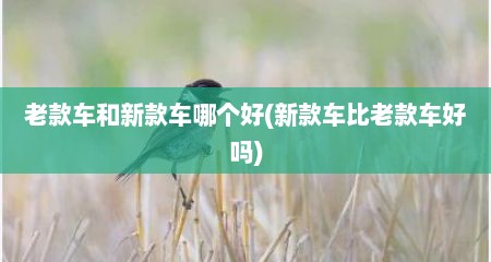 老款车和新款车哪个好(新款车比老款车好吗)