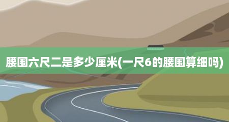 腰围六尺二是多少厘米(一尺6的腰围算细吗)