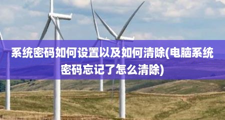 系统密码如何设置以及如何清除(电脑系统密码忘记了怎么清除)