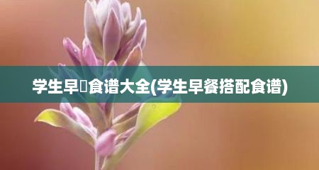 学生早歺食谱大全(学生早餐搭配食谱)