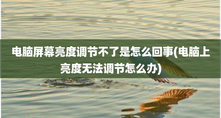电脑屏幕亮度调节不了是怎么回事(电脑上亮度无法调节怎么办)