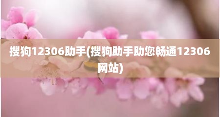 搜狗12306助手(搜狗助手助您畅通12306网站)