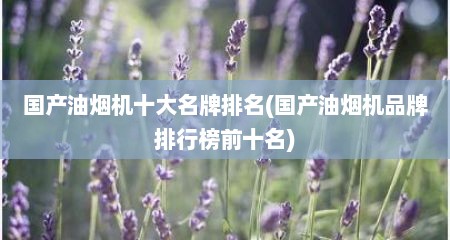 国产油烟机十大名牌排名(国产油烟机品牌排行榜前十名)